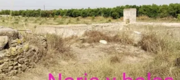  عقار تجاري في Valencia, Spain رقم 134381 8