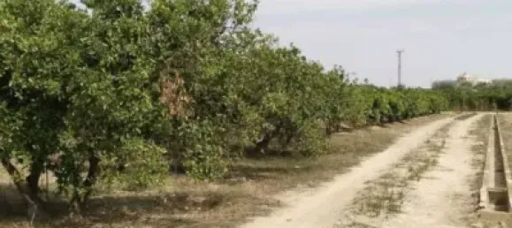  عقار تجاري في Valencia, Spain رقم 134381 7