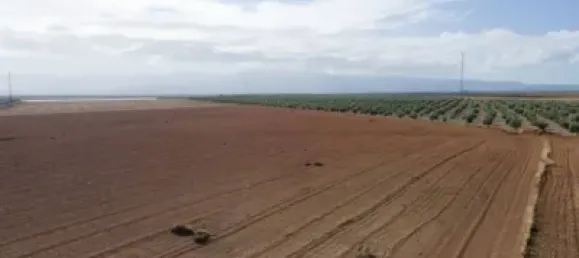 Grundstück in Granada, Spain 276000m², Nr. 141541 11