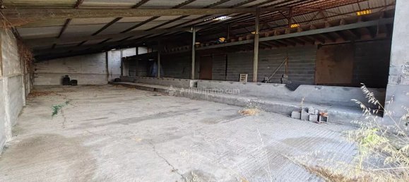 2 rooms Commercial property in Tarn, France No. 335099 2