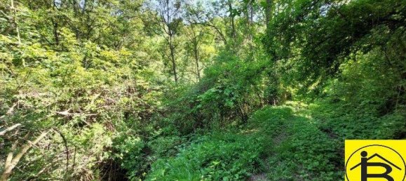 7غرفة منزل في Traismauer, Austria رقم 177516 15