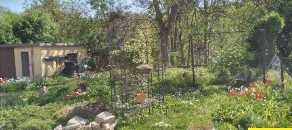 7غرفة منزل في Traismauer, Austria رقم 177516 17