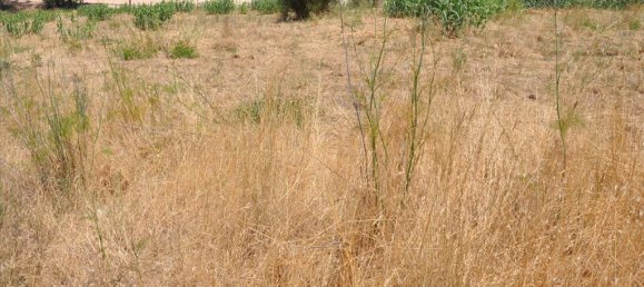 4160m² Hotel in Achaea, Greece No. 8115 5