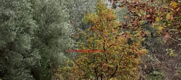 10 rooms House in Monte San Savino, Italy No. 144662 2