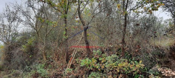 10 rooms House in Monte San Savino, Italy No. 144662 6