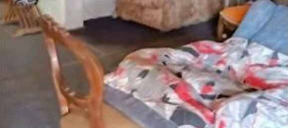 3 rooms Apartment in Aprilia, Italy No. 202796 18