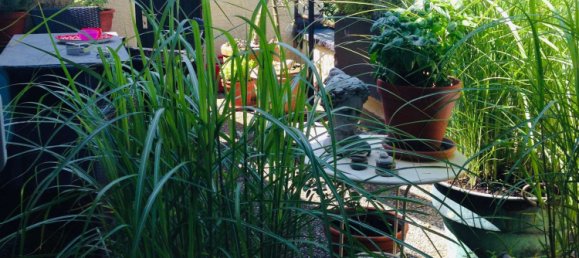 1 bedroom Duplex in Rems-Murr-Kreis, Germany No. 336312 5