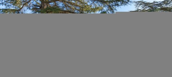 4 bedrooms House in Monteleone d'Orvieto, Italy No. 53464 30