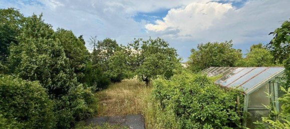 Дом с 6 комнатами в Хагенбрунн, Австрия № 222733 8