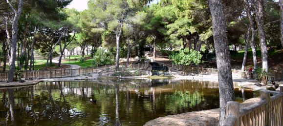 500m² Land in Guardamar del Segura, Spain No. 59932 7