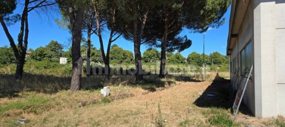 Склад с 4 комнатами в Витербо, Италия № 301238 15