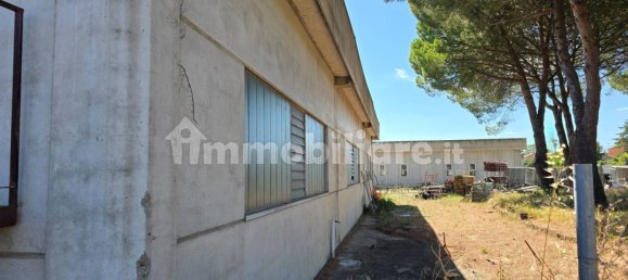 Склад с 4 комнатами в Витербо, Италия № 301238 10