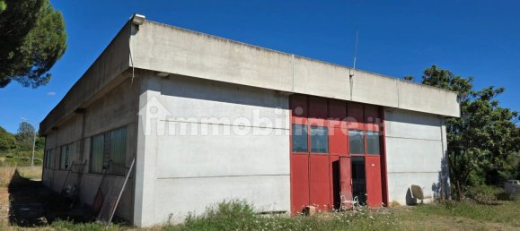 Склад с 4 комнатами в Витербо, Италия № 301238 17