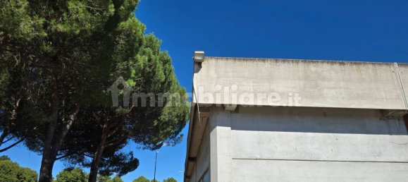 Склад с 4 комнатами в Витербо, Италия № 301238 16