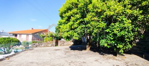 2 bedrooms House in Penso, Portugal No. 62988 2