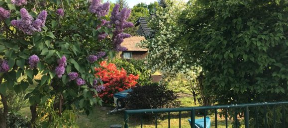 Grundstück in Elbe-Elster, Germany, Nr. 64199 10