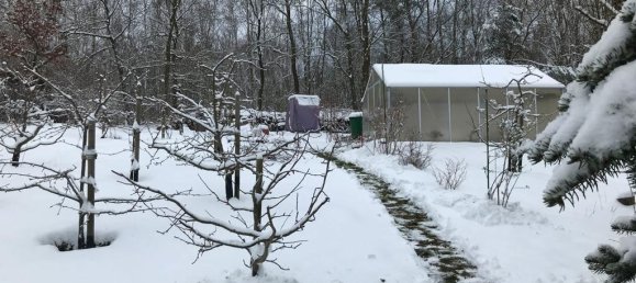 Grundstück in Elbe-Elster, Germany, Nr. 64199 5