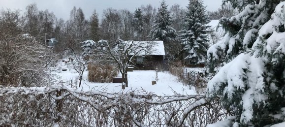 Grundstück in Elbe-Elster, Germany, Nr. 64199 3