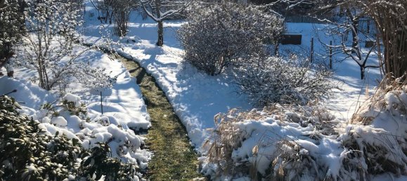 Grundstück in Elbe-Elster, Germany, Nr. 64199 8