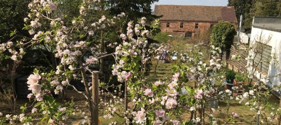 Grundstück in Elbe-Elster, Germany, Nr. 64199 12