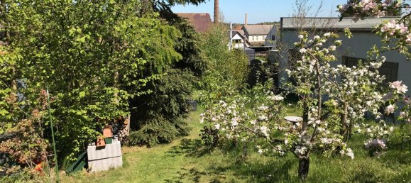 Grundstück in Elbe-Elster, Germany, Nr. 64199 14