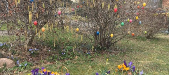 Grundstück in Elbe-Elster, Germany, Nr. 64199 11