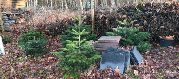 Grundstück in Elbe-Elster, Germany, Nr. 64199 25