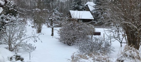 Grundstück in Elbe-Elster, Germany, Nr. 64199 2