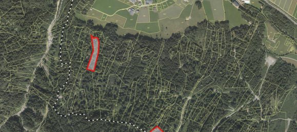  Land in Schoppernau, Austria No. 106221 2