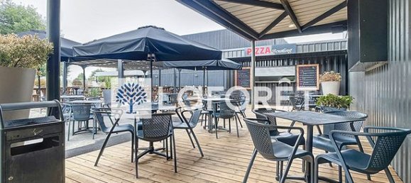 Gewerbliche Immobilie in Bressuire, France, Nr. 312151 9