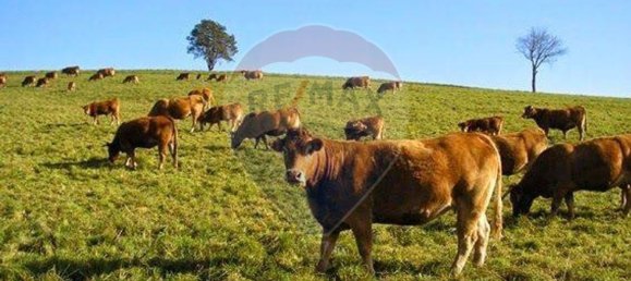 Grundstück in Alcacer do Sal, Portugal 696250m², Nr. 92302 6