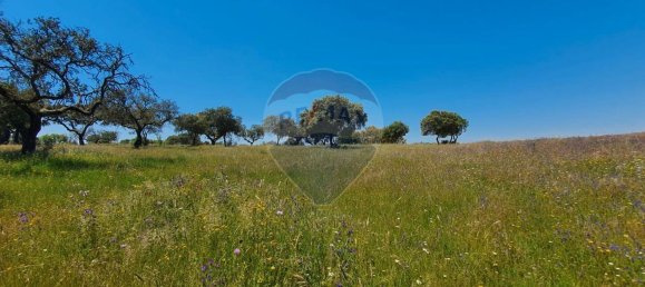 Grundstück in Alcacer do Sal, Portugal 696250m², Nr. 92302 12