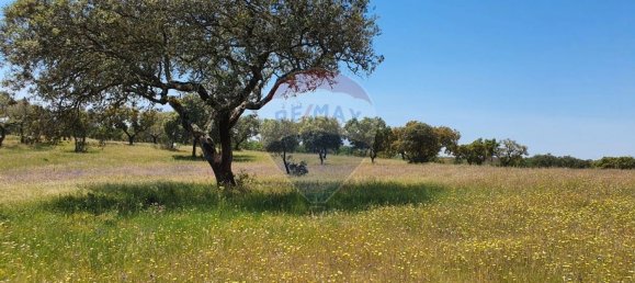 Grundstück in Alcacer do Sal, Portugal 696250m², Nr. 92302 13