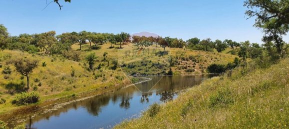 Grundstück in Alcacer do Sal, Portugal 696250m², Nr. 92302 9