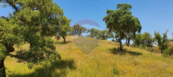 Grundstück in Alcacer do Sal, Portugal 696250m², Nr. 92302 11