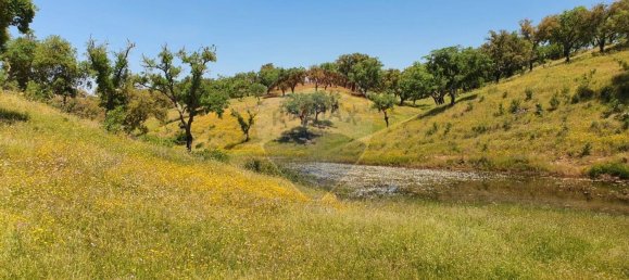 Grundstück in Alcacer do Sal, Portugal 696250m², Nr. 92302 10