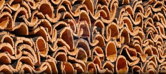 Grundstück in Alcacer do Sal, Portugal 696250m², Nr. 92302 3