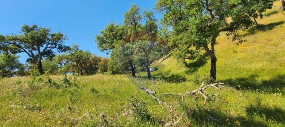 Grundstück in Alcacer do Sal, Portugal 696250m², Nr. 92302 7