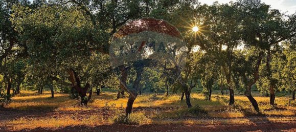 Grundstück in Alcacer do Sal, Portugal 696250m², Nr. 92302 4