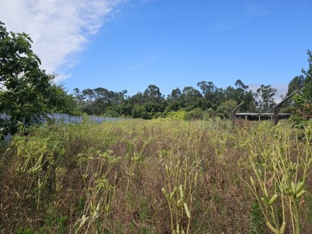 Дом с 2 спальнями в Ouca, Португалия № 19979