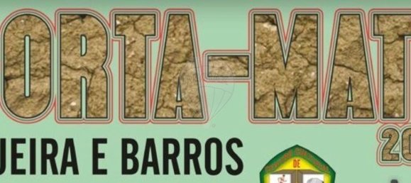 5 bedrooms House in Avis, Portugal No. 64968 46