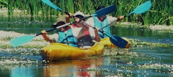 5 bedrooms House in Avis, Portugal No. 64968 45