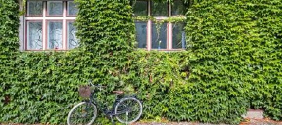 2-Zimmer Wohnung in Prenzlauer Berg, Germany, Nr. 111032 10