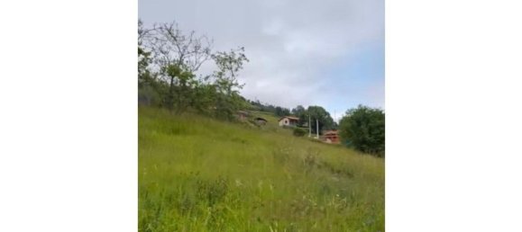 Land in San Martin del Rey Aurelio, Spain No. 162792 6