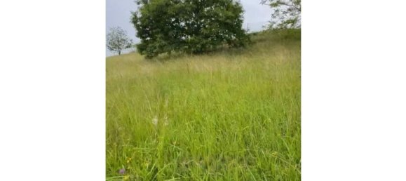 Land in San Martin del Rey Aurelio, Spain No. 162792 11