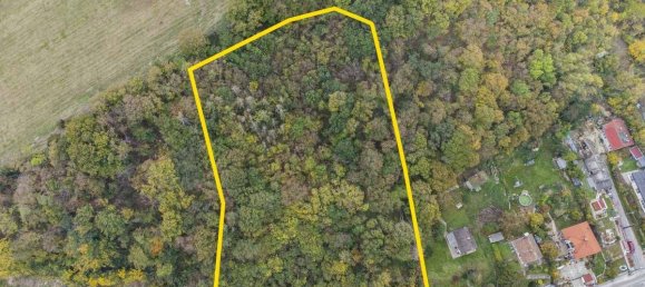 8-salle Maison à Klosterneuburg, Austria No. 215310 6