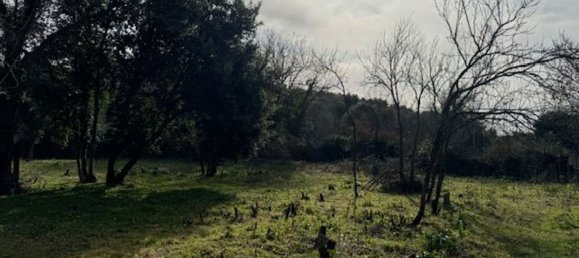 4غرفة منزل في Padria, Italy رقم 125725 3