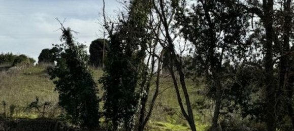 4غرفة منزل في Padria, Italy رقم 125725 6