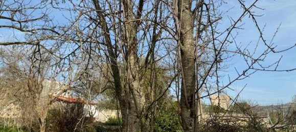 4غرفة منزل في Padria, Italy رقم 125725 10