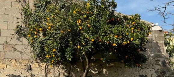 4غرفة منزل في Padria, Italy رقم 125725 12